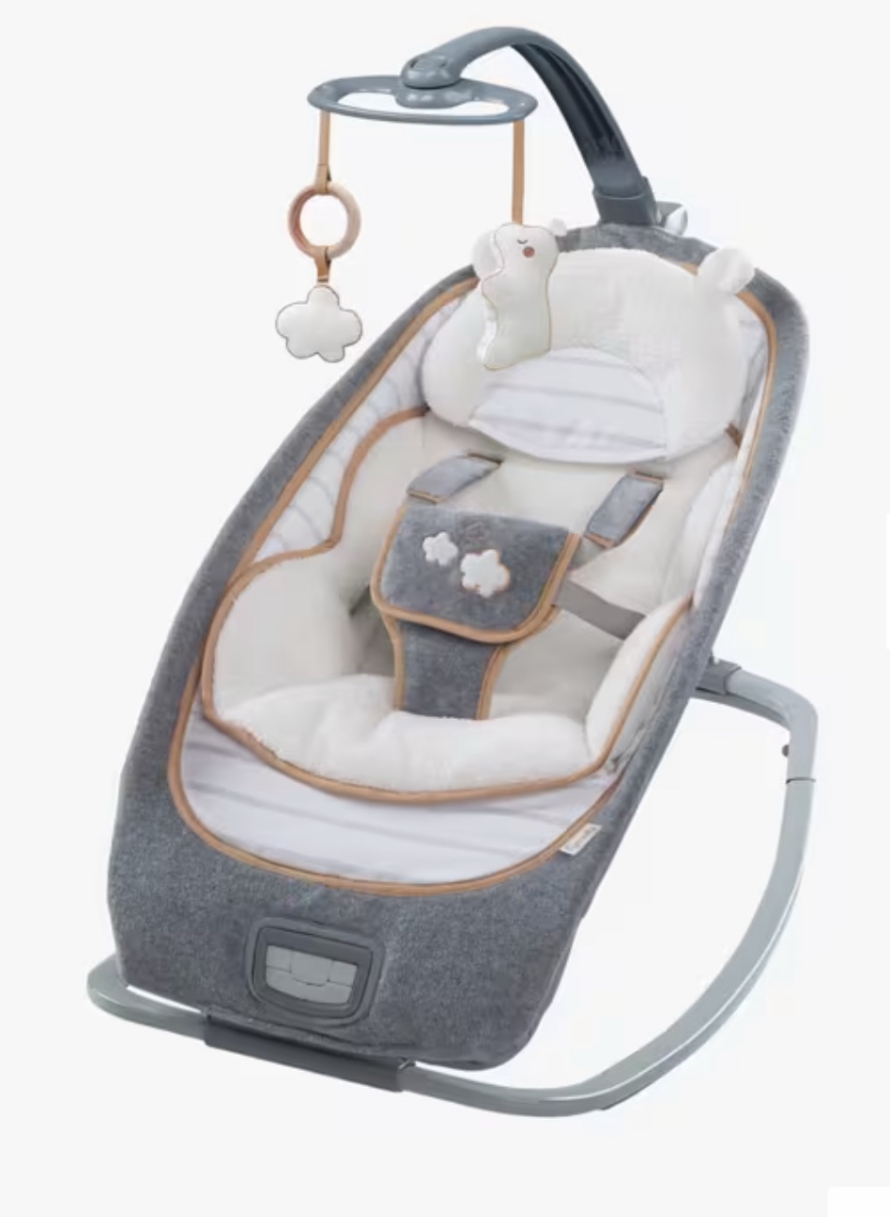 NEW Ingenuity Rocking Seat - Bella Teddy
